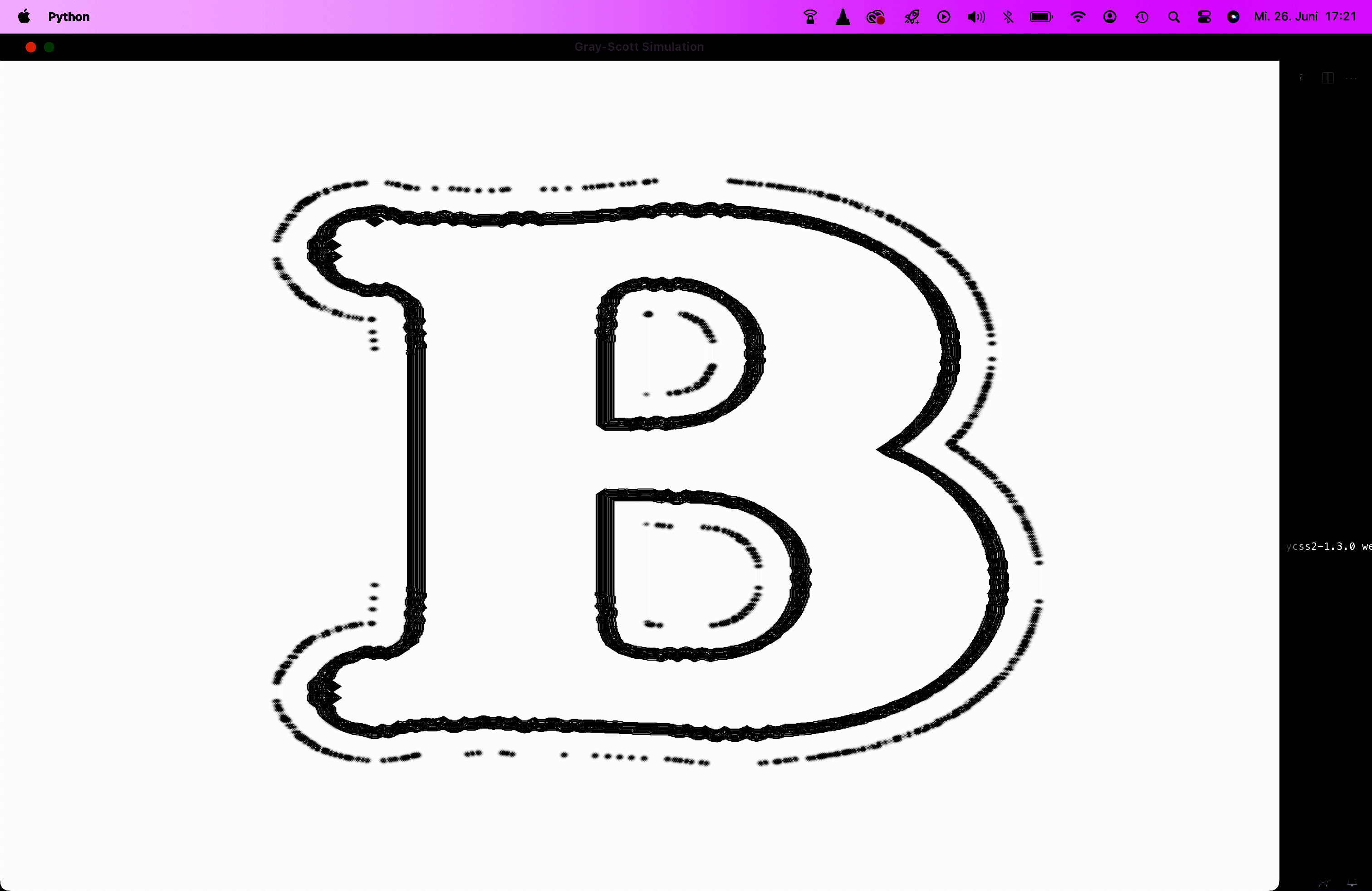 Portfolio Image 5